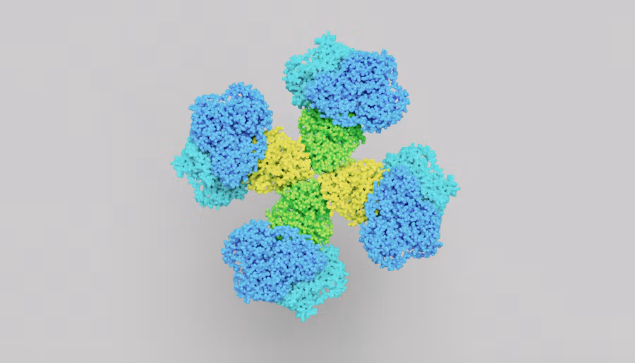 Lipoprotein(a): The Hidden Cardiovascular Risk Factor